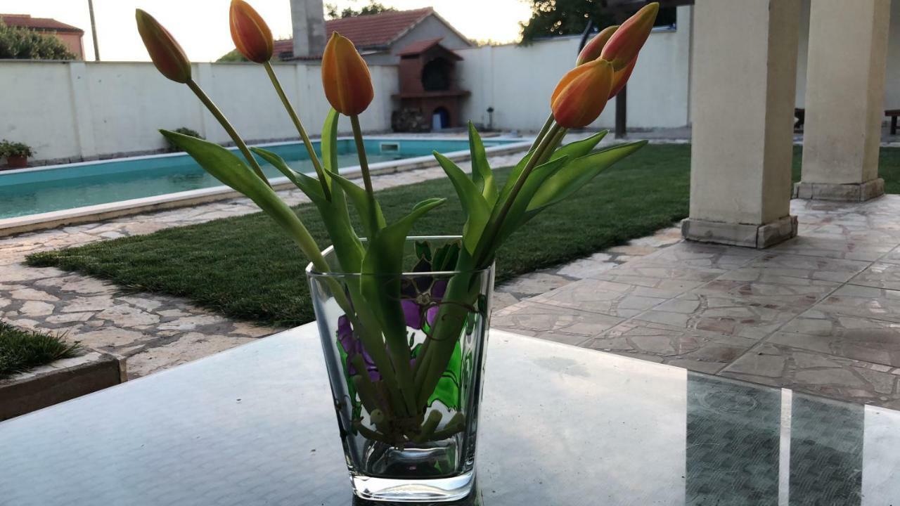 Villa Pistan Murvica  Esterno foto